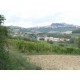 Properties for Sale_Farmhouses to restore_La Casetta in Campagna in Le Marche_9